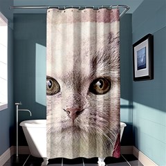 Cat Pet Cute Art Abstract Vintage Shower Curtain 36  X 72  (stall)  by Nexatart