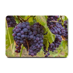 Grapes 4 Small Doormat  by trendistuff