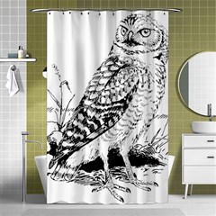 Animal Bird Forest Nature Owl Shower Curtain 48  X 72  (small)  by Nexatart