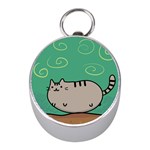 Fat Cat Mini Silver Compasses Front