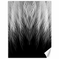 Feather Graphic Design Background Canvas 36  X 48   by Sapixe