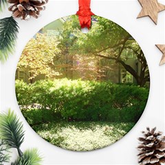 Highland Park 19 Ornament (round) by bestdesignintheworld