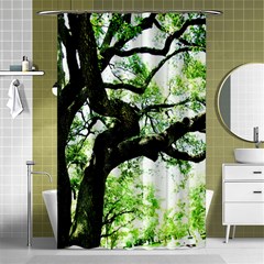 Lake Park 6 Shower Curtain 48  X 72  (small)  by bestdesignintheworld