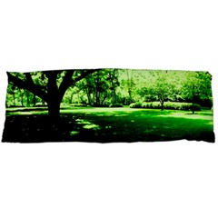 Lake Park 14 Body Pillow Case (dakimakura) by bestdesignintheworld