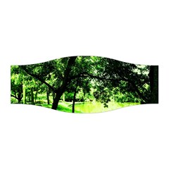 Lake Park 17 Stretchable Headband by bestdesignintheworld