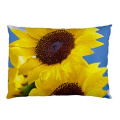 Sunflower Floral Yellow Blue Sky Flowers Photography Pillow Case (two Sides) by yoursparklingshop