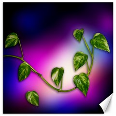 Leaves Green Leaves Background Canvas 12  X 12   by Sapixe