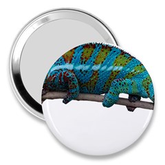 Reptile Lizard Animal Isolated 3  Handbag Mirrors by Sapixe