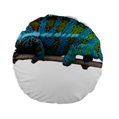 Reptile Lizard Animal Isolated Standard 15  Premium Round Cushions by Sapixe