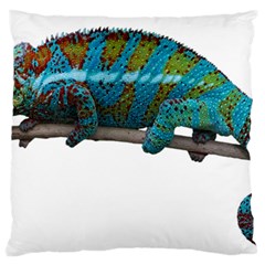 Reptile Lizard Animal Isolated Standard Flano Cushion Case (two Sides) by Sapixe