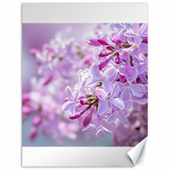 Pink Lilac Flowers Canvas 18  X 24   by FunnyCow