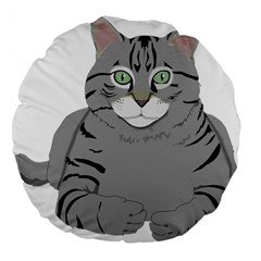 Cat Kitty Gray Tiger Tabby Pet Large 18  Premium Flano Round Cushions by Sapixe