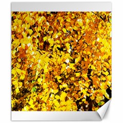 Birch Tree Yellow Leaves Canvas 20  X 24   by FunnyCow