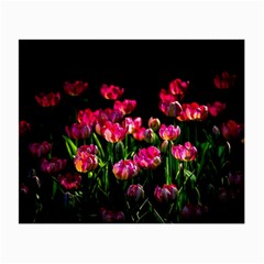 Pink Tulips Dark Background Small Glasses Cloth by FunnyCow