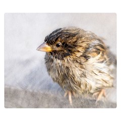 Funny Wet Sparrow Bird Double Sided Flano Blanket (small)  by FunnyCow