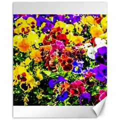 Viola Tricolor Flowers Canvas 11  X 14   by FunnyCow