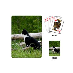 Farm Cat Playing Cards (mini)  by IIPhotographyAndDesigns