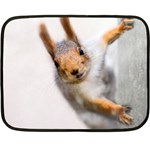 Curious Squirrel Fleece Blanket (Mini) 35 x27  Blanket