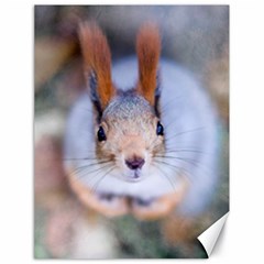 Squirrel Looks At You Canvas 18  X 24   by FunnyCow