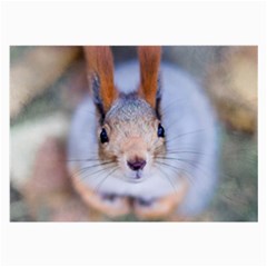 Squirrel Looks At You Large Glasses Cloth (2-side) by FunnyCow