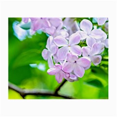 Elegant Pink Lilacs In Spring Small Glasses Cloth (2-side) by FunnyCow