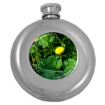 Yellow Dandelion Flowers In Spring Round Hip Flask (5 oz) Front
