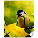 Tomtit Bird Dressed To The Season Canvas 11  x 14   10.95 x13.48  Canvas - 1