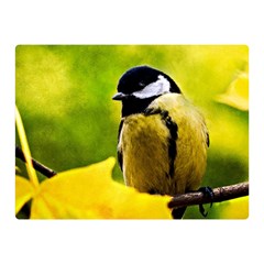 Tomtit Bird Dressed To The Season Double Sided Flano Blanket (mini)  by FunnyCow