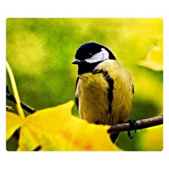 Tomtit Bird Dressed To The Season Double Sided Flano Blanket (small)  by FunnyCow