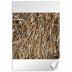 Dry Hay Texture Canvas 12  X 18   by FunnyCow