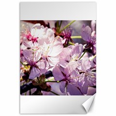 Sakura In The Shade Canvas 12  X 18   by FunnyCow