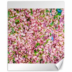 Almond Tree In Bloom Canvas 11  X 14   by FunnyCow