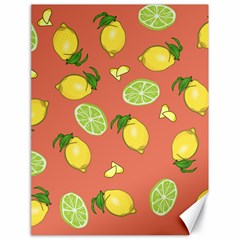 Lemons And Limes Peach Canvas 18  X 24   by snowwhitegirl