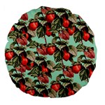 Fruit Branches Green Large 18  Premium Flano Round Cushions Back