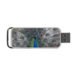 Peacock Bird Animals Pen Plumage Portable Usb Flash (one Side) by Sapixe