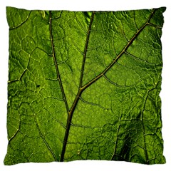 Butterbur Leaf Plant Veins Pattern Standard Flano Cushion Case (one Side) by Sapixe