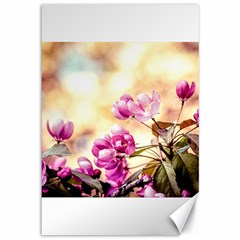 Paradise Apple Blossoms Canvas 12  X 18  by FunnyCow