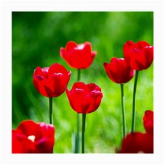 Red Tulip Flowers, Sunny Day Medium Glasses Cloth (2-side) by FunnyCow