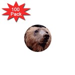 Bear Looking 1  Mini Buttons (100 pack)  Front