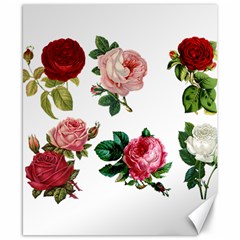 Roses 1770165 1920 Canvas 8  X 10  by vintage2030