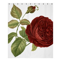 Rose 1077964 1280 Shower Curtain 60  X 72  (medium)  by vintage2030