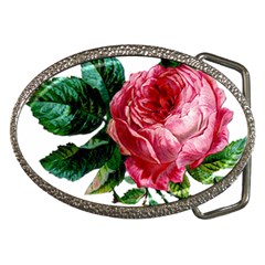 Pink Vin Rose Belt Buckles by snowwhitegirl