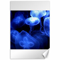 Jellyfish Sea Diving Sea Animal Canvas 12  X 18  by Sapixe