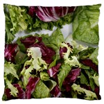 Salad Lettuce Vegetable Standard Flano Cushion Case (Two Sides) Back