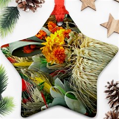 Flower Color Nature Plant Crafts Ornament (star) by Sapixe