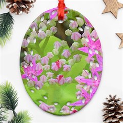 Hot Pink Succulent Sedum With Fleshy Green Leaves Ornament (oval Filigree) by myrubiogarden