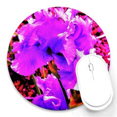 Abstract Ultra Violet Purple Iris On Red And Pink Round Mousepads by myrubiogarden