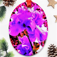 Abstract Ultra Violet Purple Iris On Red And Pink Ornament (oval) by myrubiogarden