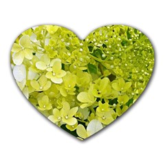 Elegant Chartreuse Green Limelight Hydrangea Macro Heart Mousepads by myrubiogarden