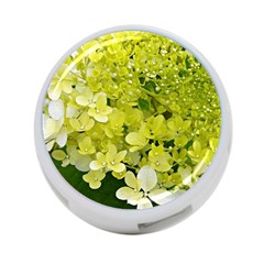 Elegant Chartreuse Green Limelight Hydrangea Macro 4-port Usb Hub (one Side) by myrubiogarden